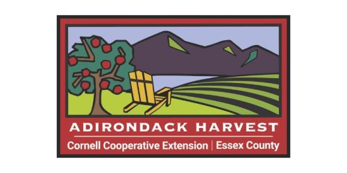 Adirondack Harvest