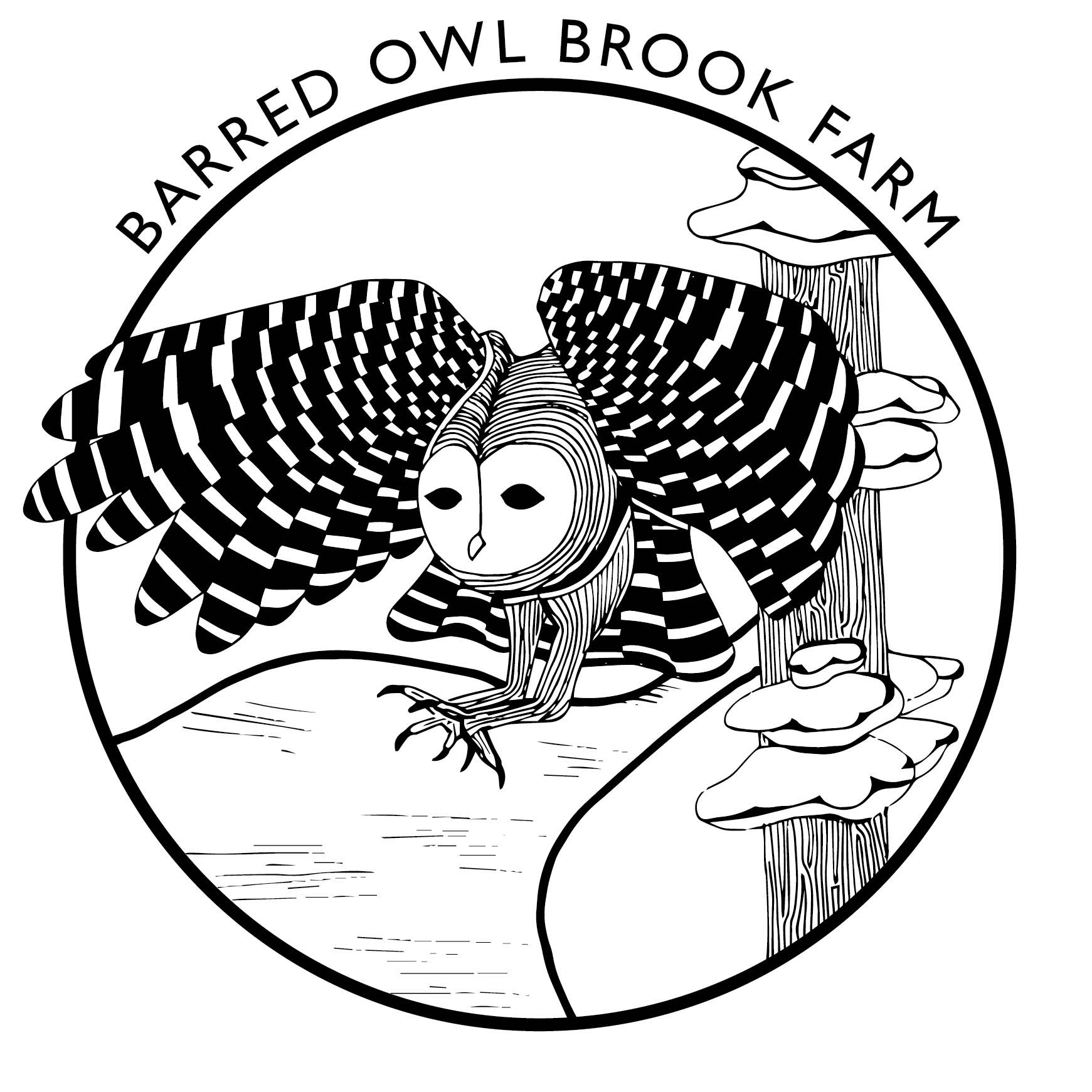 Barred Owl Brook Farm Logo