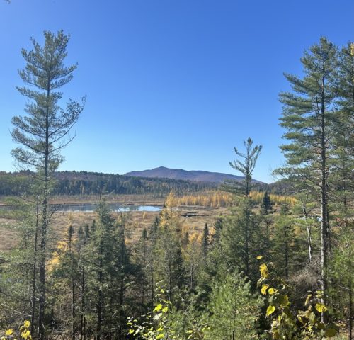 Paul Smith's College Visitor Interpretive Center